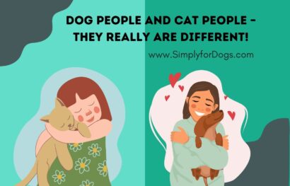 Dog People and Cat People – They Really Are Different!