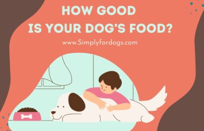 Dog's-Food