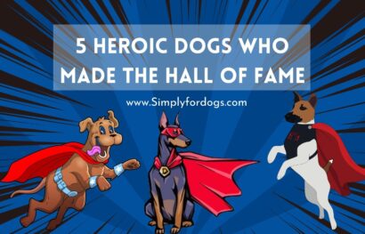 Heroic-Dogs
