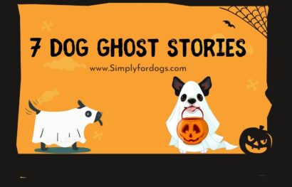 dog-ghost-stories