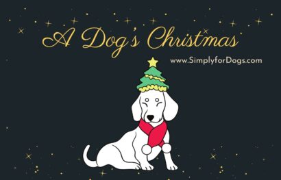 Dog’s-Christmas