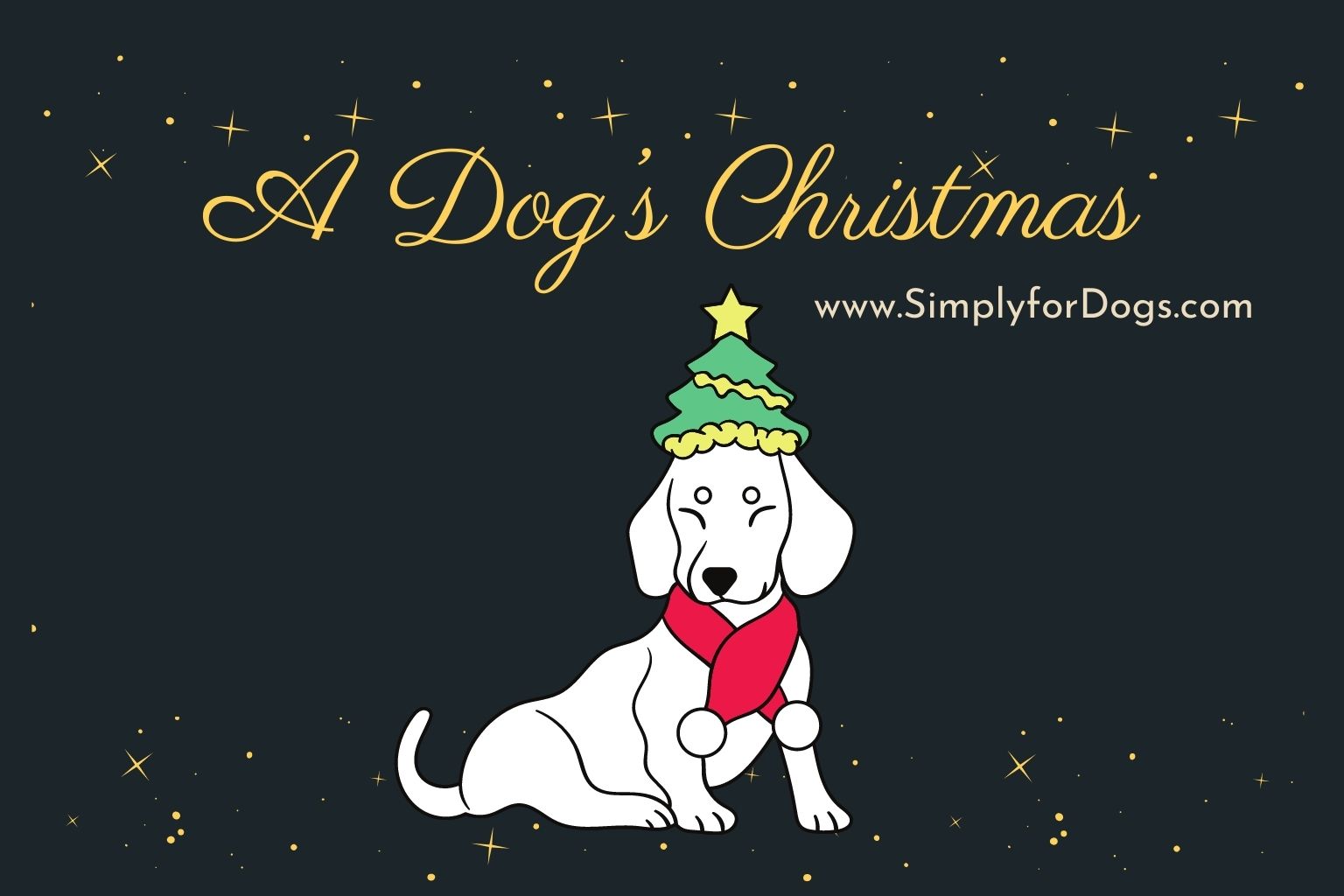 Dog’s-Christmas