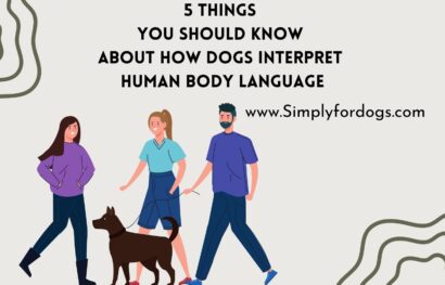 Dogs-Interpret