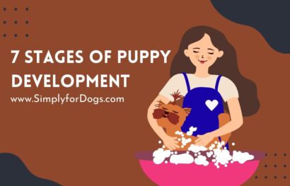 Puppy-Development