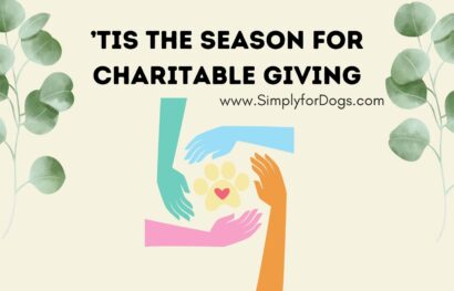 ’Tis the Season for Charitable Giving