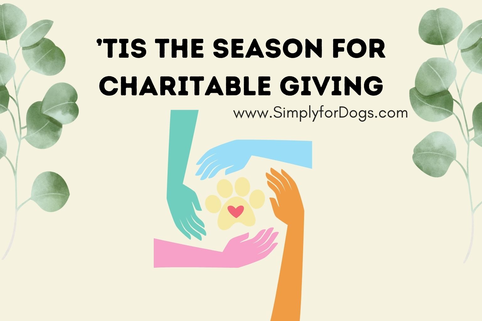 ’Tis the Season for Charitable Giving