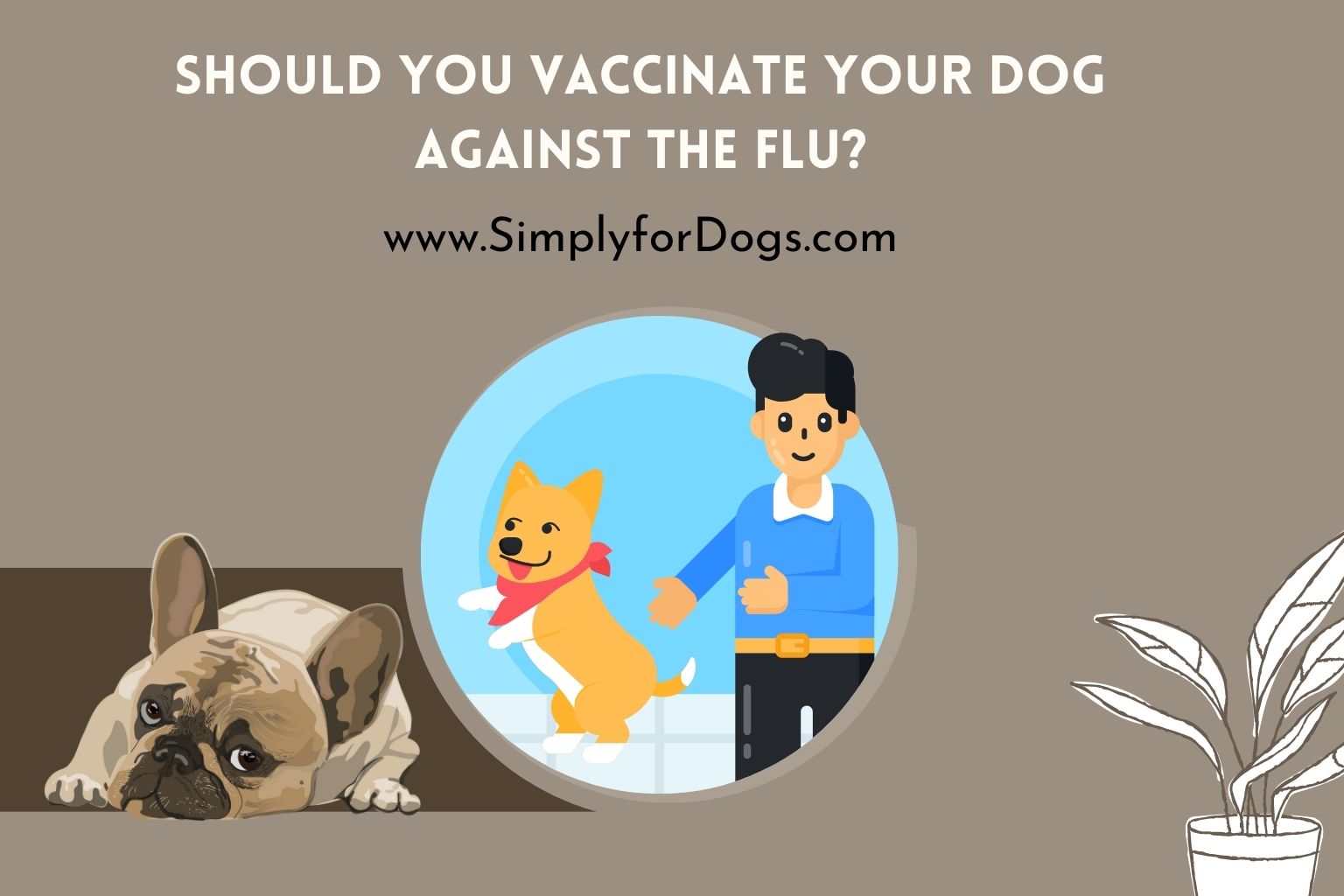 Dog Vaccinate