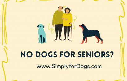 Dogs for Seniors