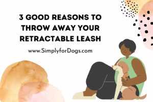 Retractable-Leash