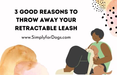 Retractable-Leash