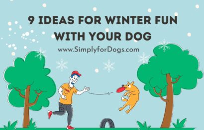 Winter Fun With Dog