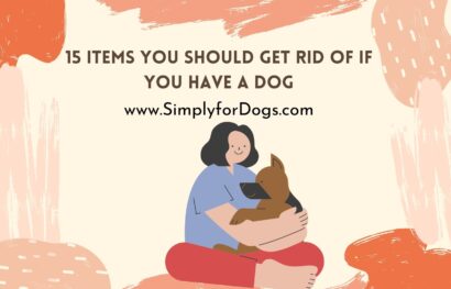 15-items-get-rid-dog