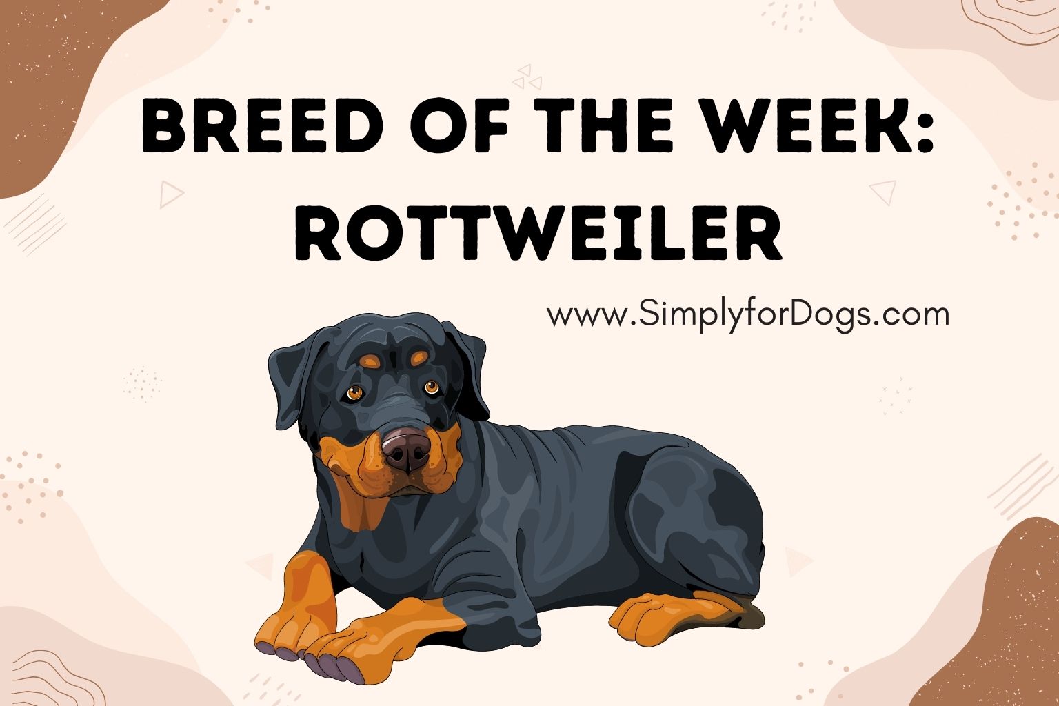 Breed of the Week_ Rottweiler