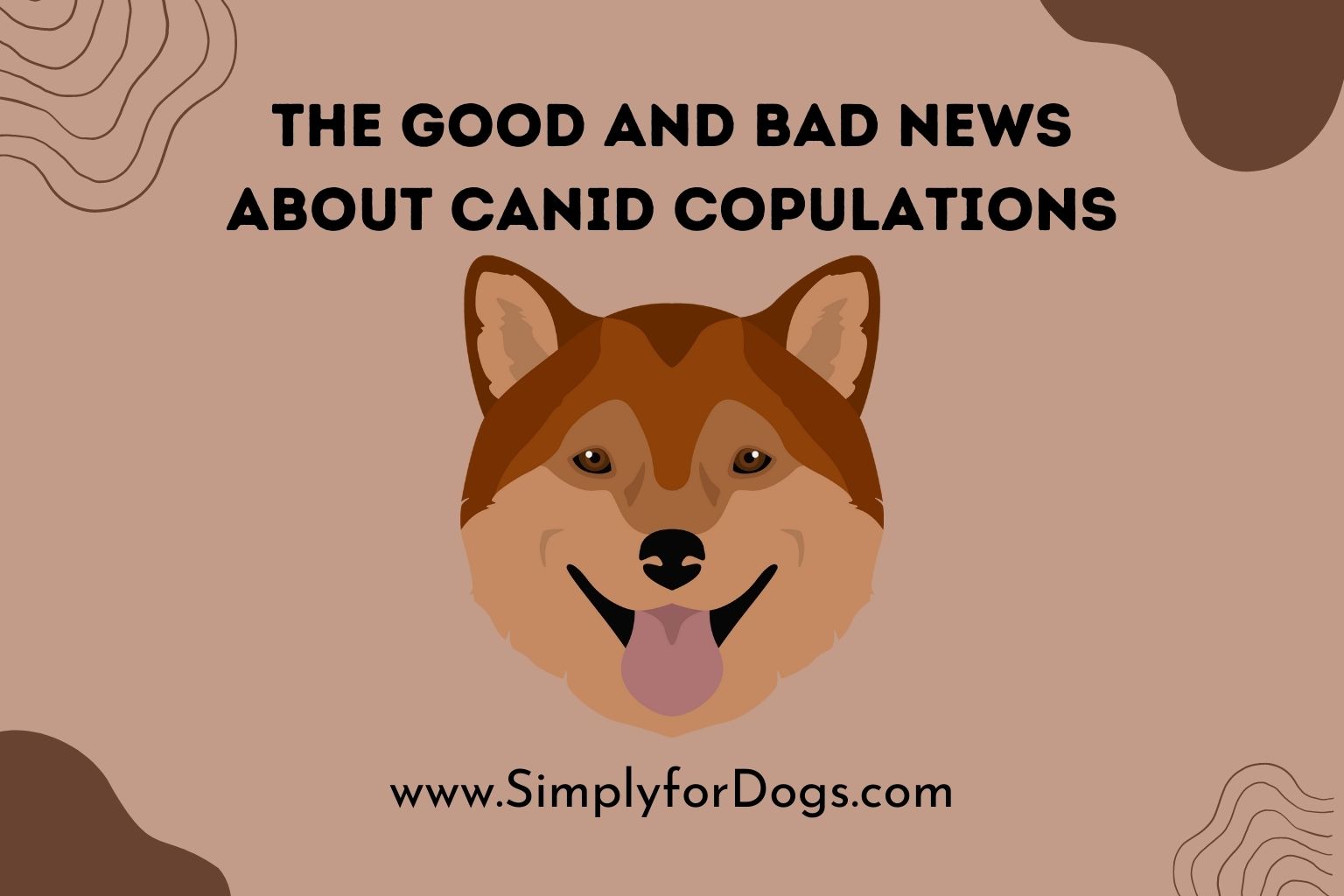 Canid Copulations