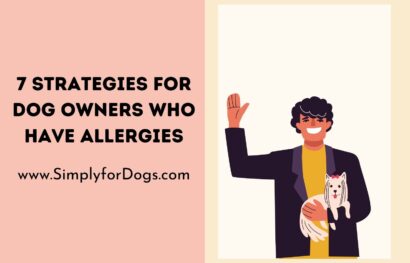 Dog-Allergies