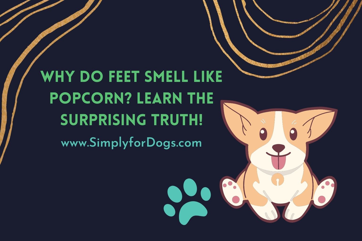Dog Feet Smell