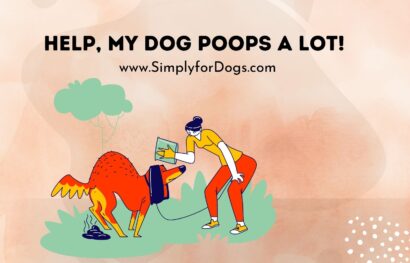 Dog-Poops