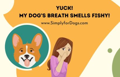 Dog's Breath Smells Fishy