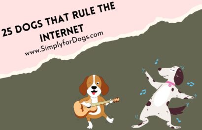 Dogs Rule Internet
