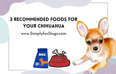Foods Chihuahua