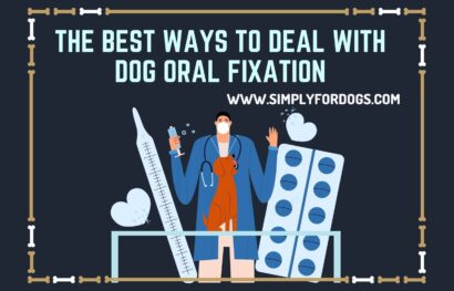 The Best Ways to Deal With Dog Oral Fixation