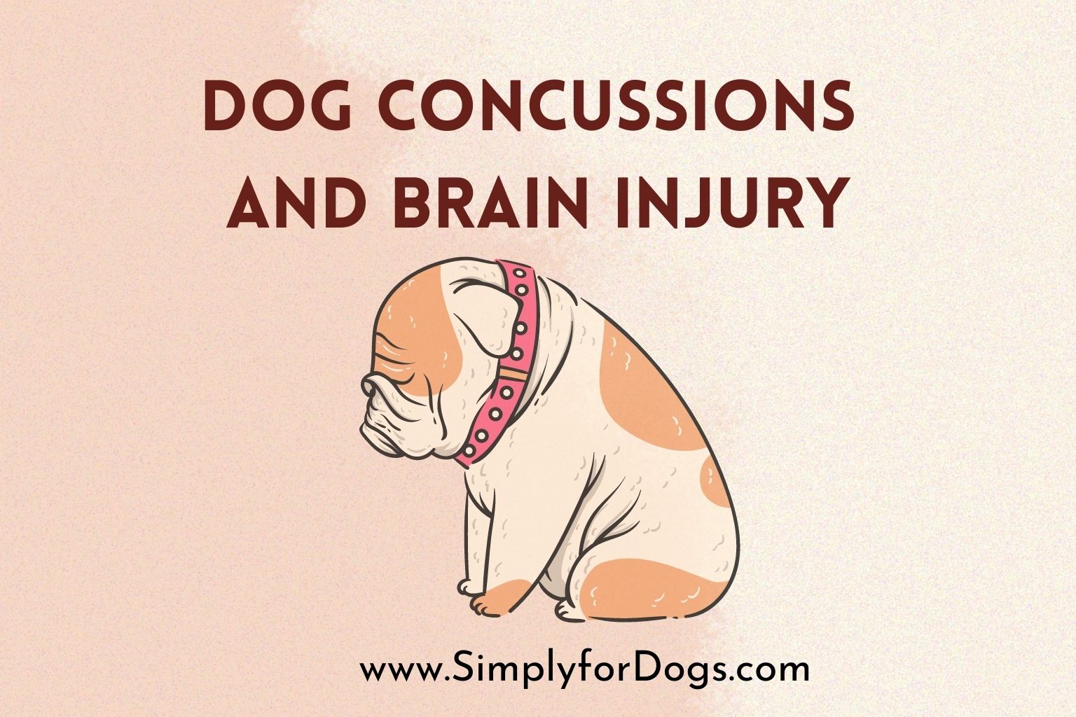 dog-concussions-brain-injury
