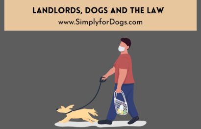 landlords-dogs-law