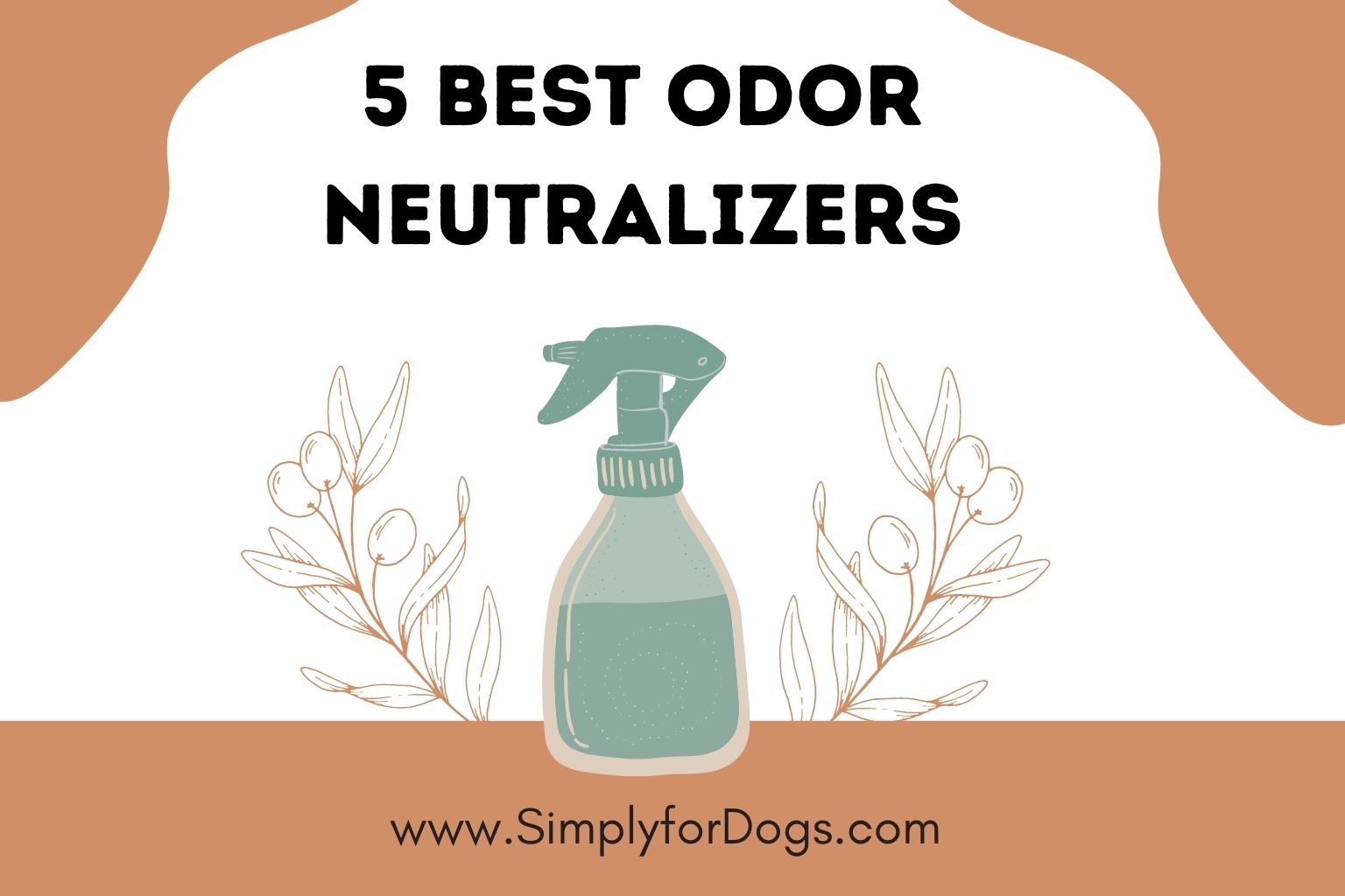 5 Best Odor Neutralizers