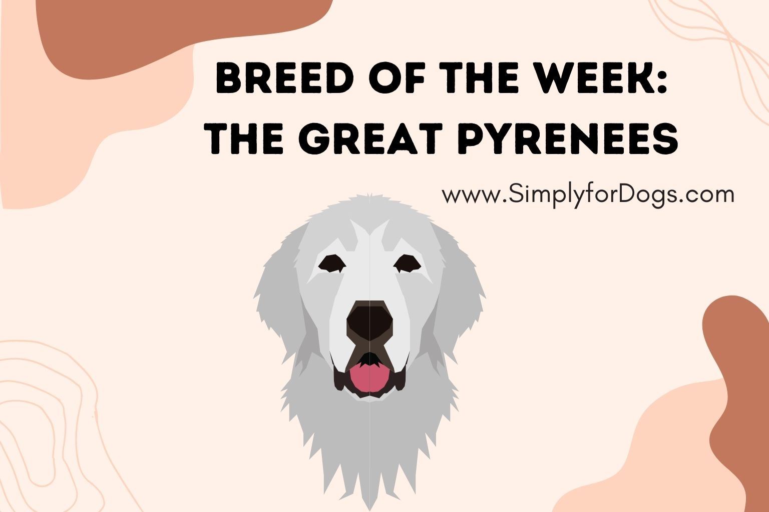 Breed of the Week_ The Great Pyrenees