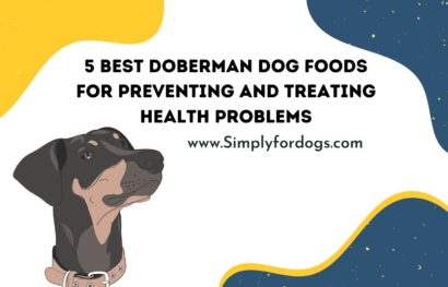 Doberman Dog Foods