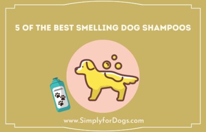 Dog-Shampoos