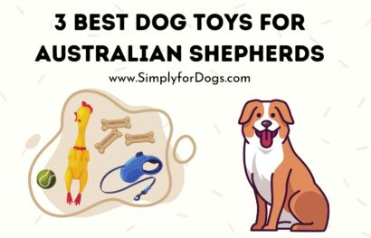 Dog-Toys