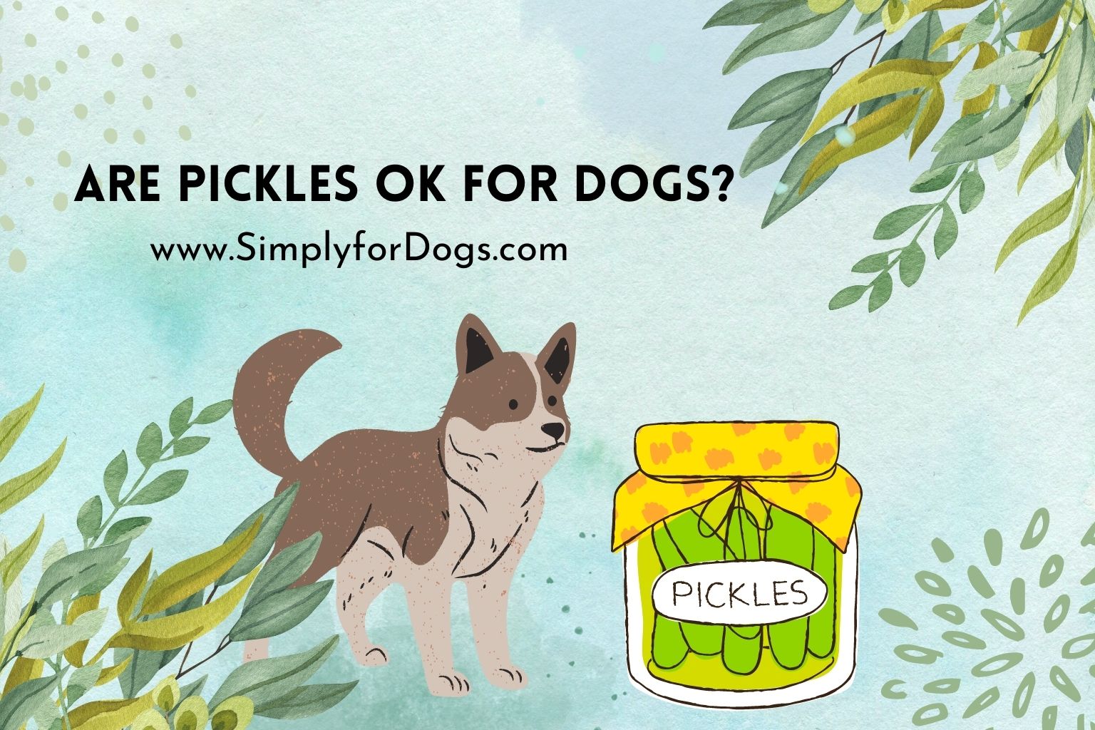 Pickles ok for Dogs