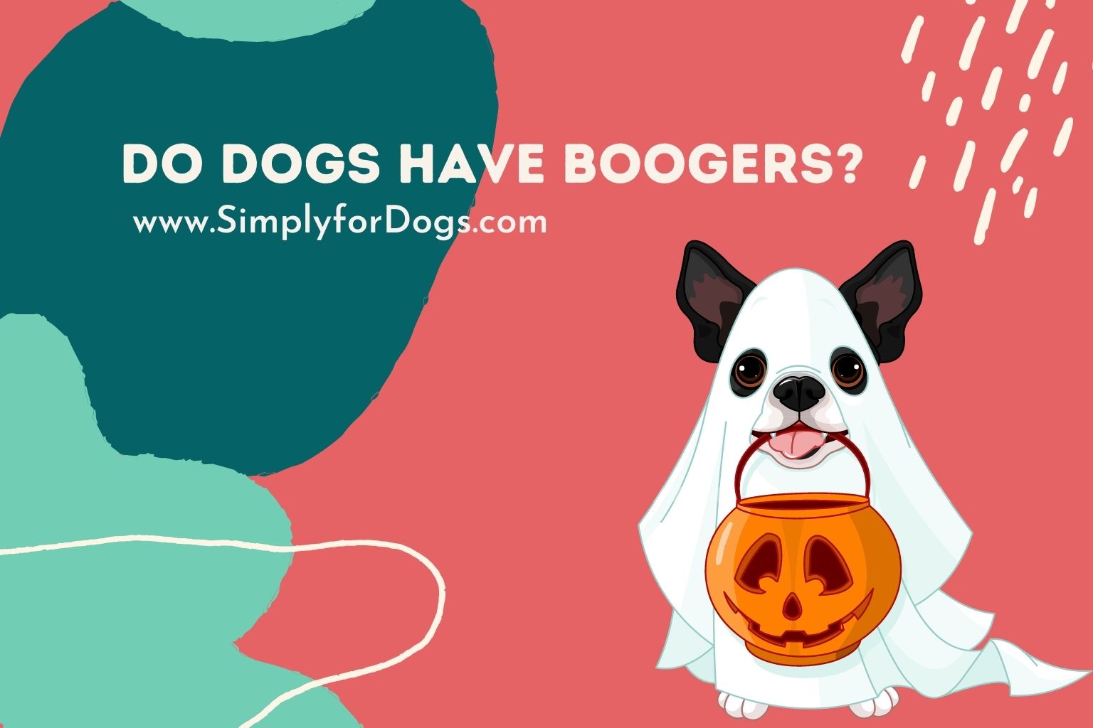 do-dogs-have-boogers