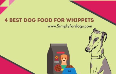 4-best-dog-food-whippets