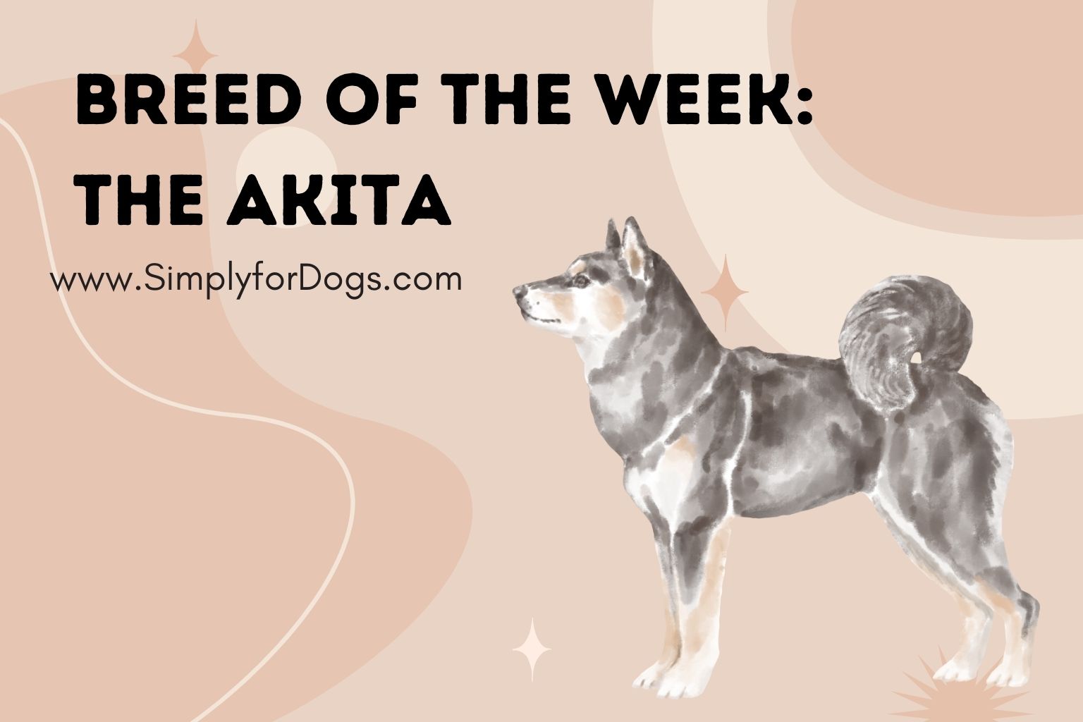 Breed of the Week_ The Akita