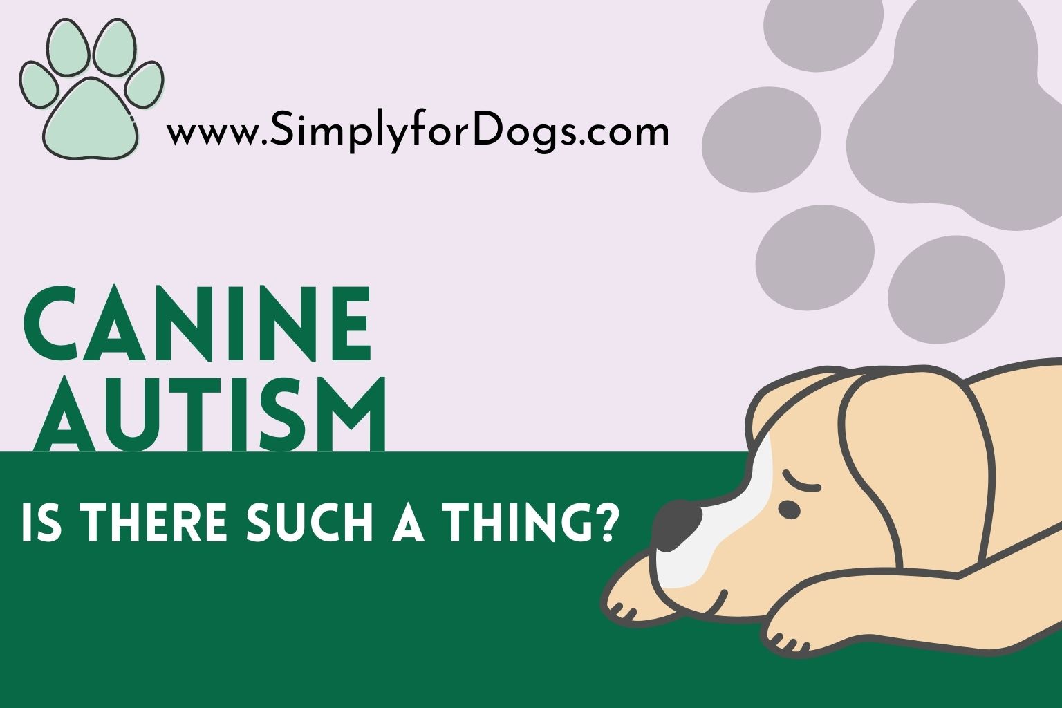 Canine Autism