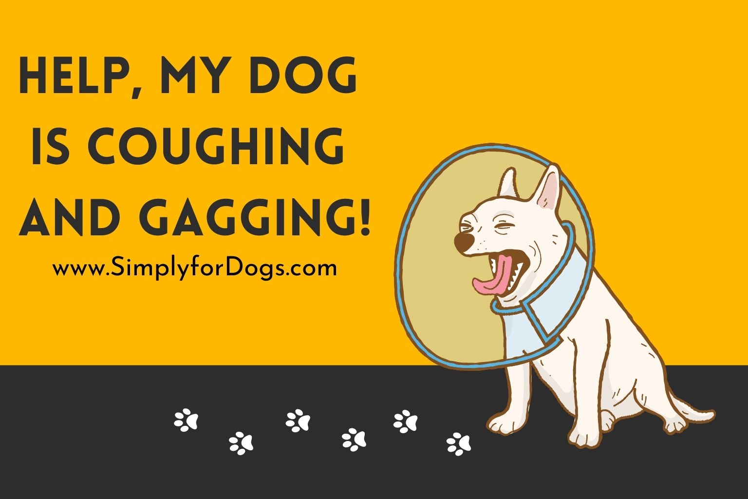 Dog-Coughing