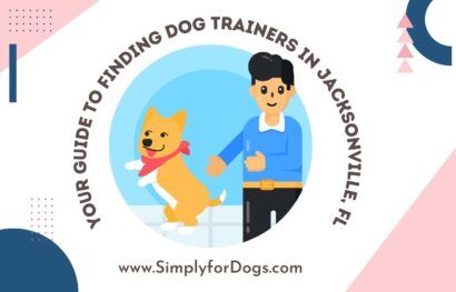 Dog-Trainers