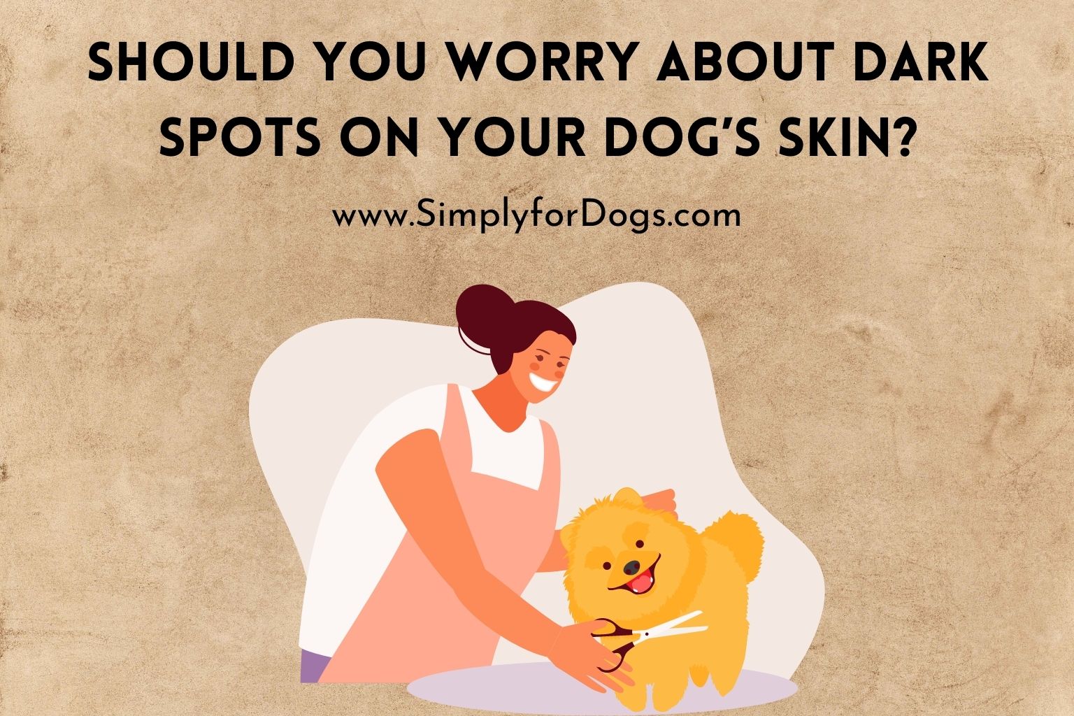 Dog's Skin Dark Spots