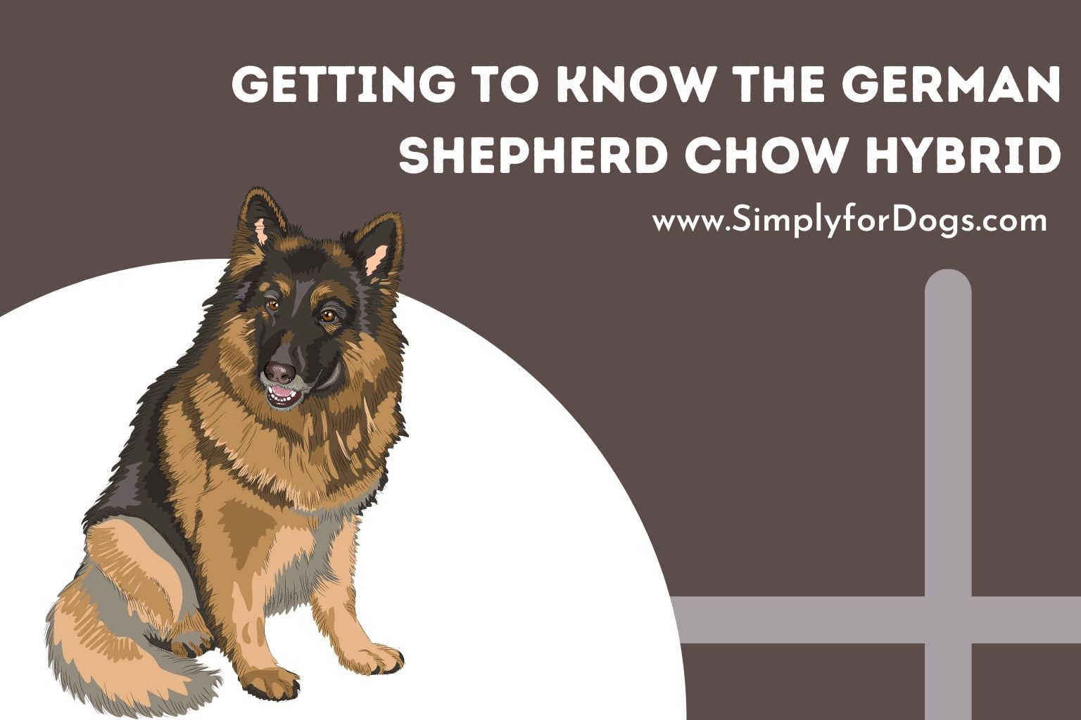 Getting to Know the German Shepherd Chow Hybrid