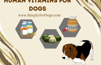 Human Vitamins for Dogs – Yes or No_