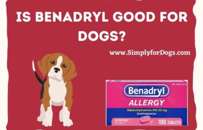 Is Benadryl Good for Dogs_