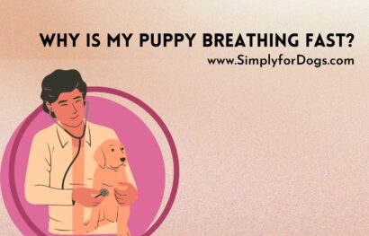 Puppy Breathing