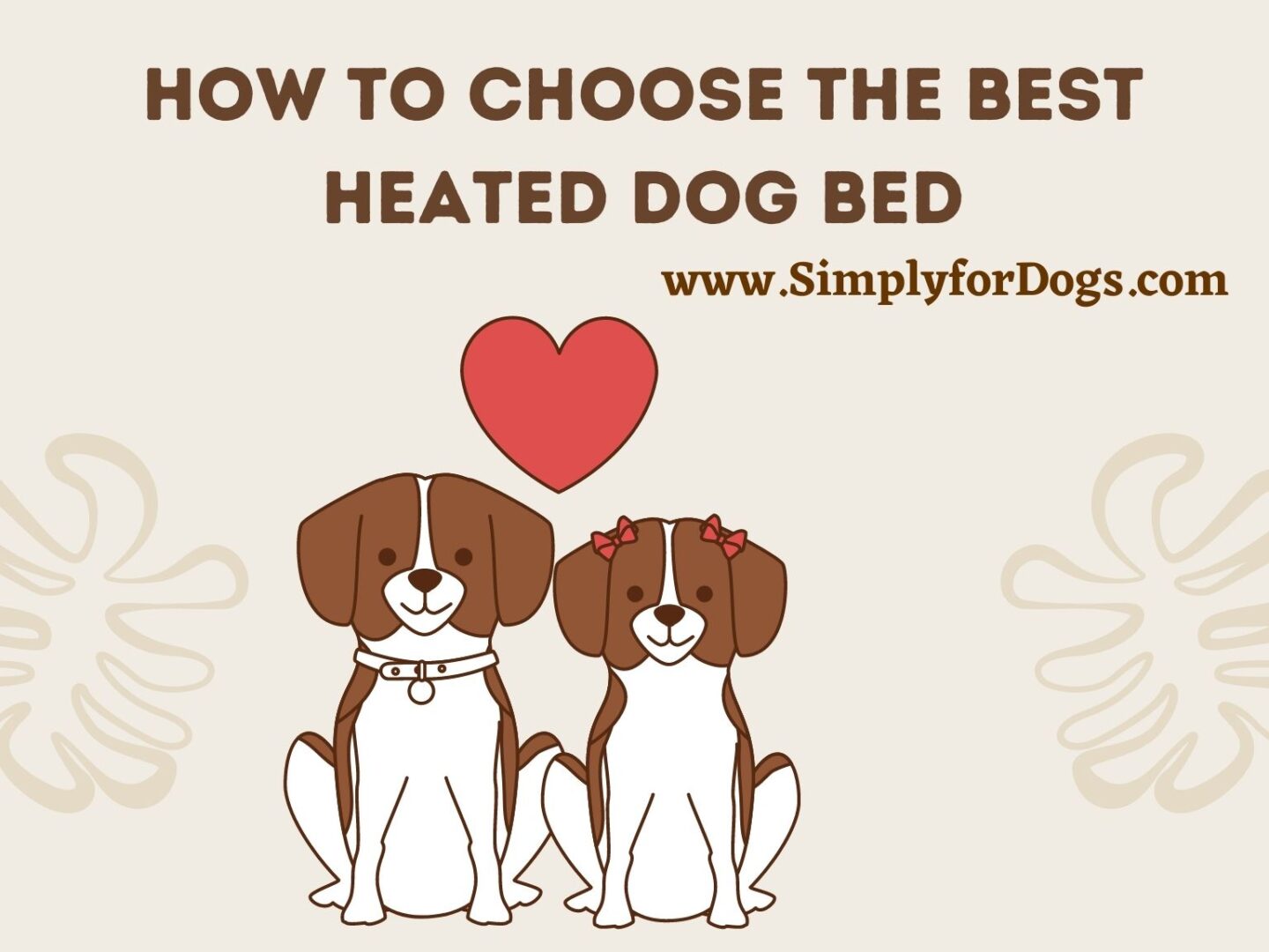 best-heated-dog-bed