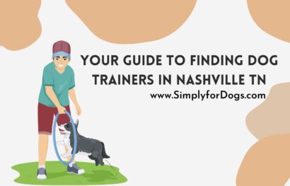 dog-trainers