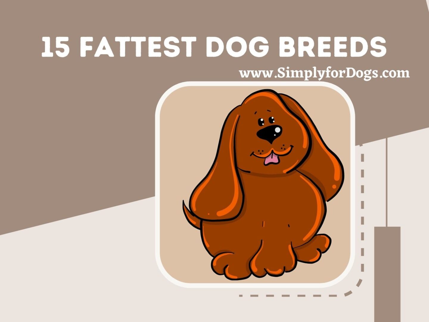 15 Fattest Dog Breeds