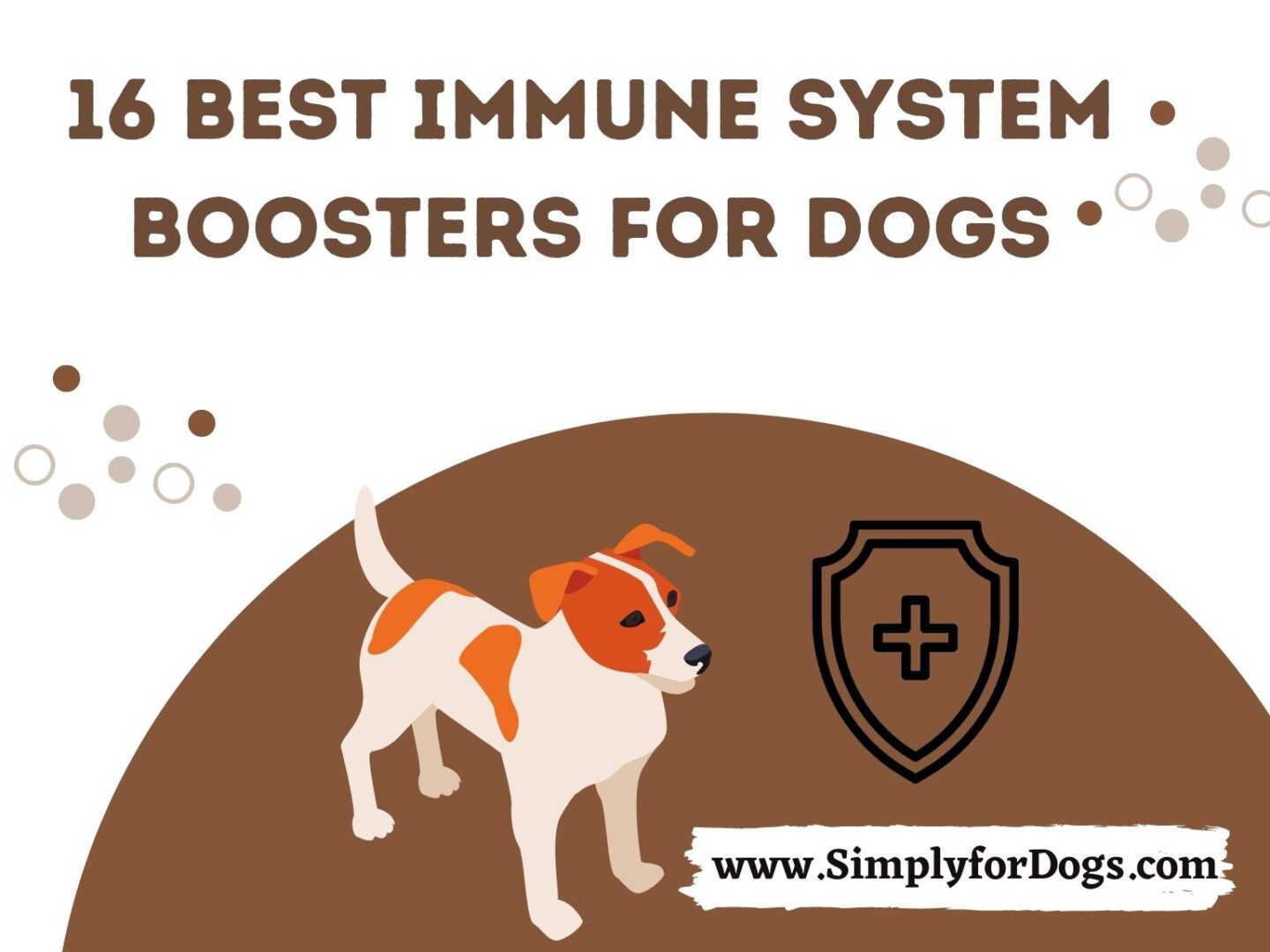 16 Best Immune System Boosters for Dogs