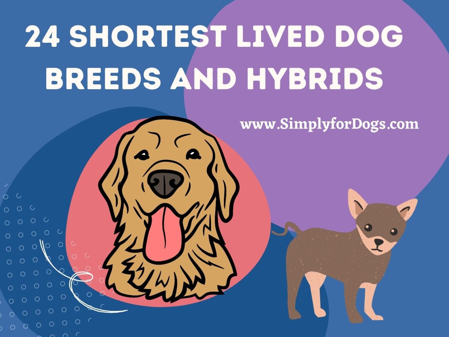 24 Shortest Lived Dog Breeds and Hybrids