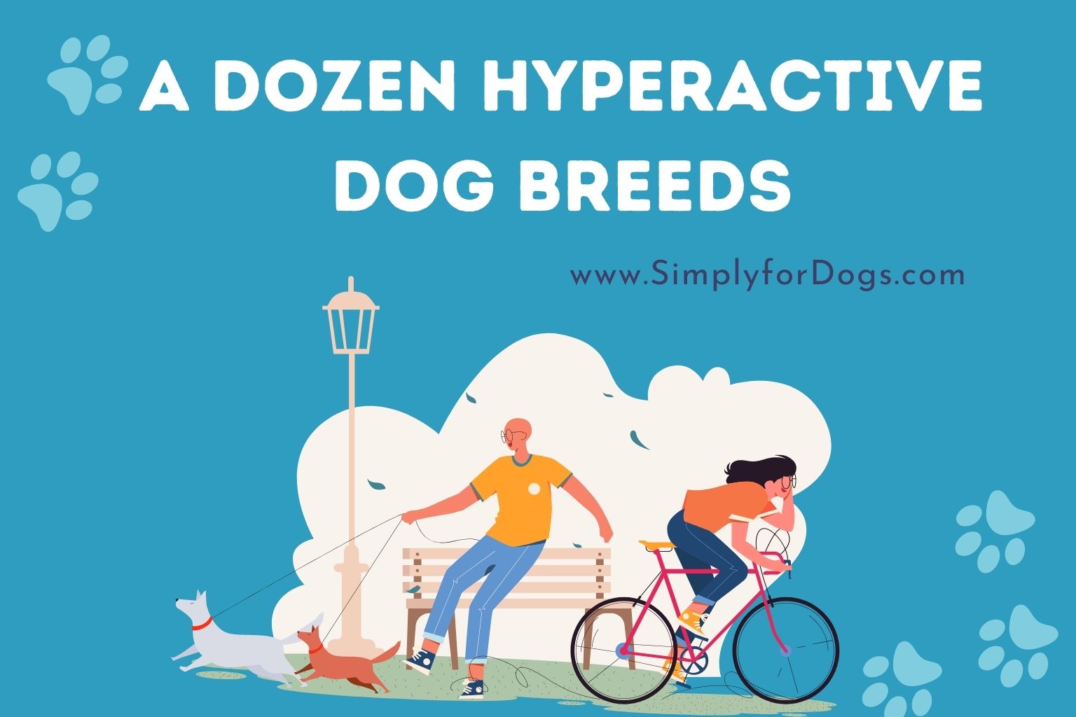 A Dozen Hyperactive Dog Breeds
